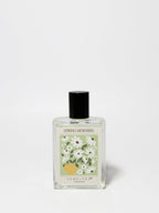Spring Morning 50ml Perfume Oil Rollerball | Shop Sand + Fog