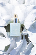 Vanilla Bloom 50 ml Perfume Oil Dropper | Shop Sand + Fog