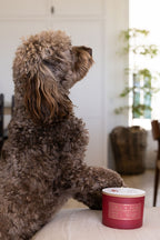 Sand + Paws Winter White 12 oz scented candle