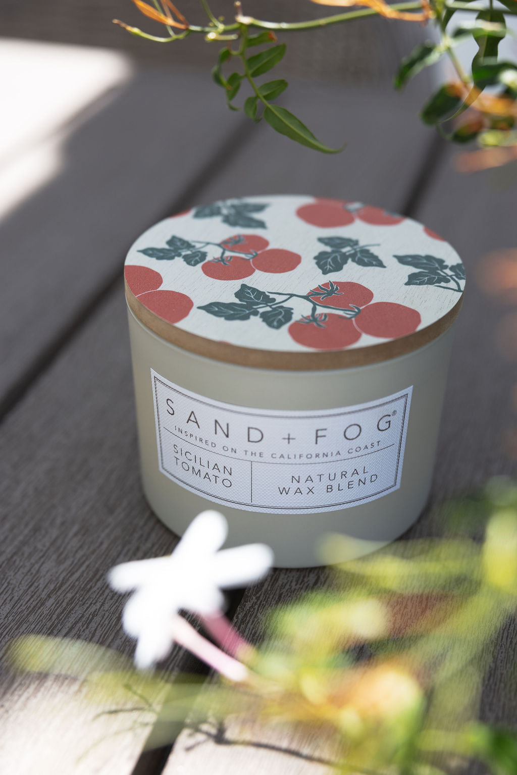 Sicilian Tomato 12 oz scented candle | Shop Sand + Fog