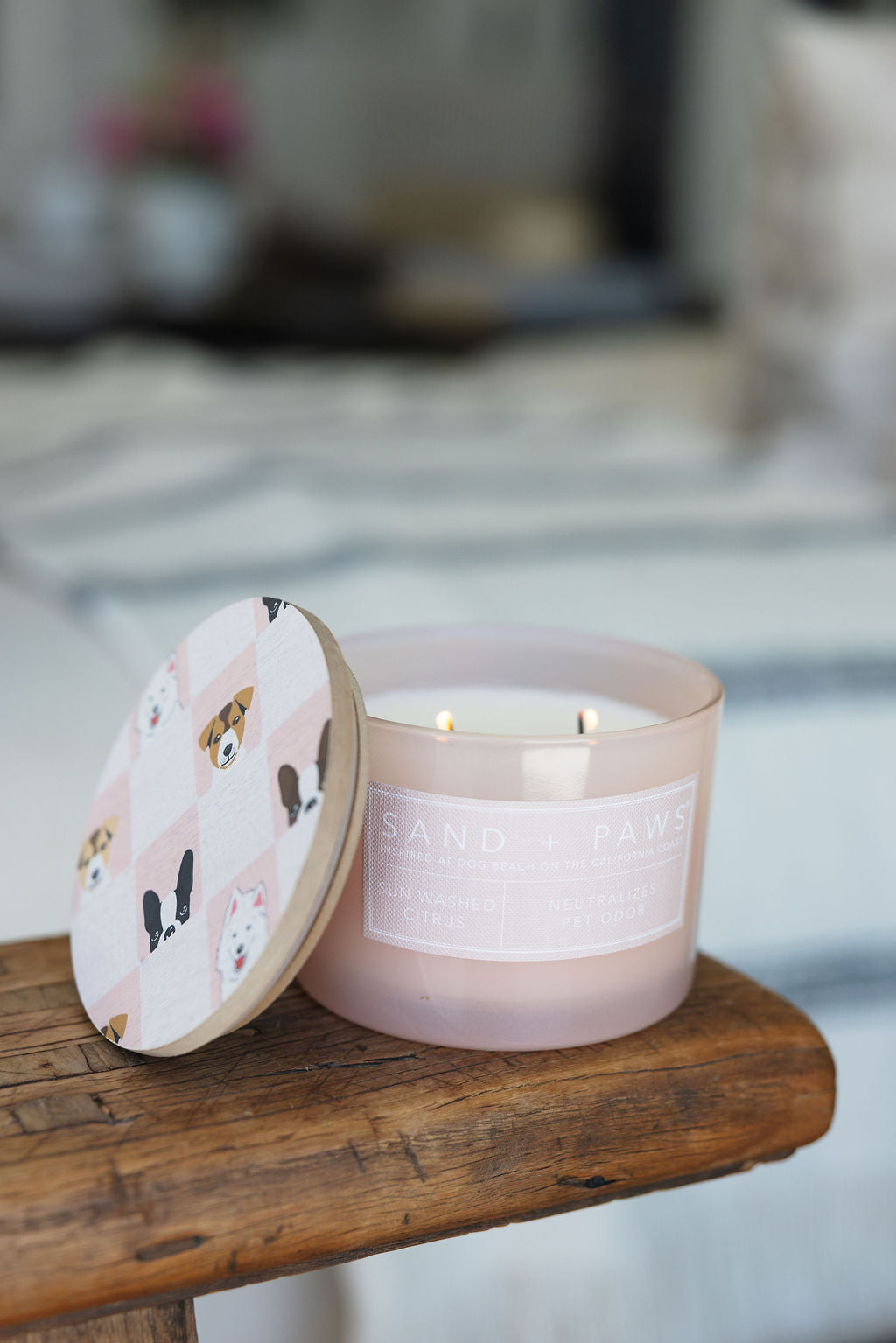 Sand + Paws Sun Washed Citrus 12 oz scented candle | Shop Sand + Paws