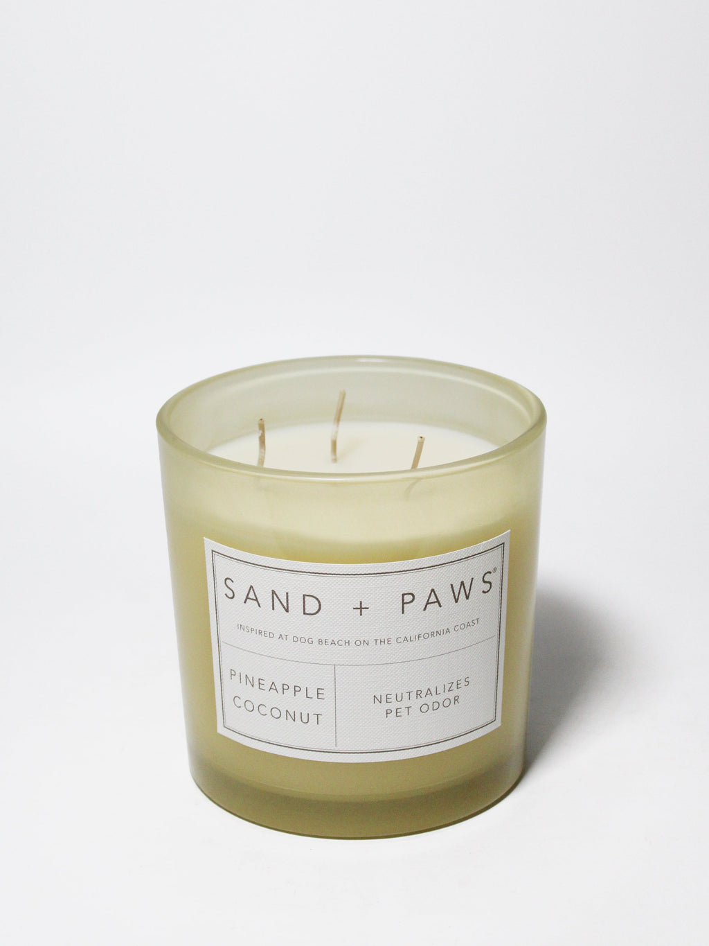 Sand + Paws Pineapple Coconut 21 oz scented candle | Shop Sand + Paws
