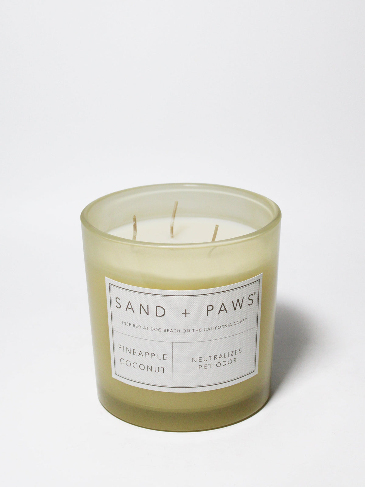 Sand + Paws Pineapple Coconut 21 oz scented candle | Shop Sand + Paws