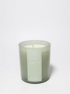 Eucalyptus 10 oz scented candle | Shop Sand + Fog