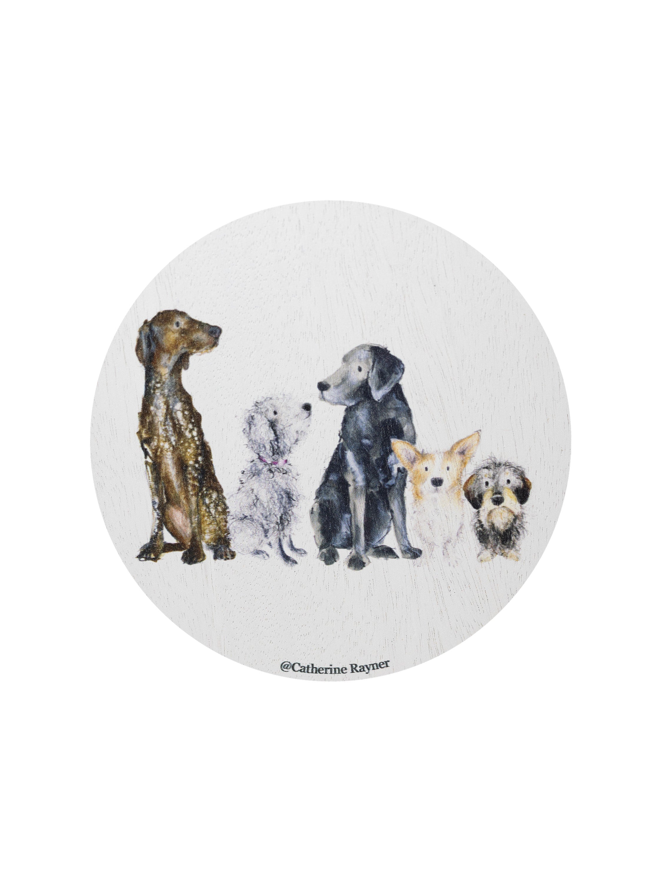 Sand + Paws Cedar & Lavender 12 oz scented candle | Shop Sand + Paws