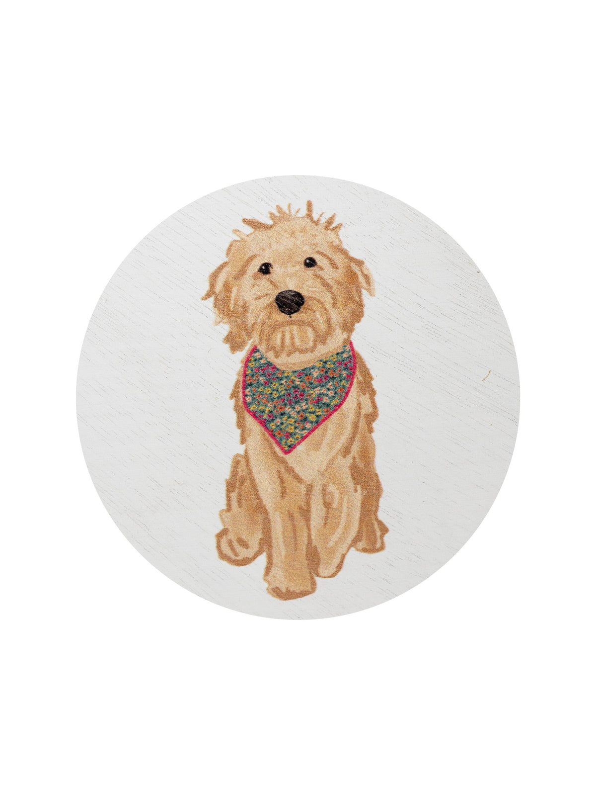 Sand + Paws Laundry Day 12 oz scented candle | Shop Sand + Paws