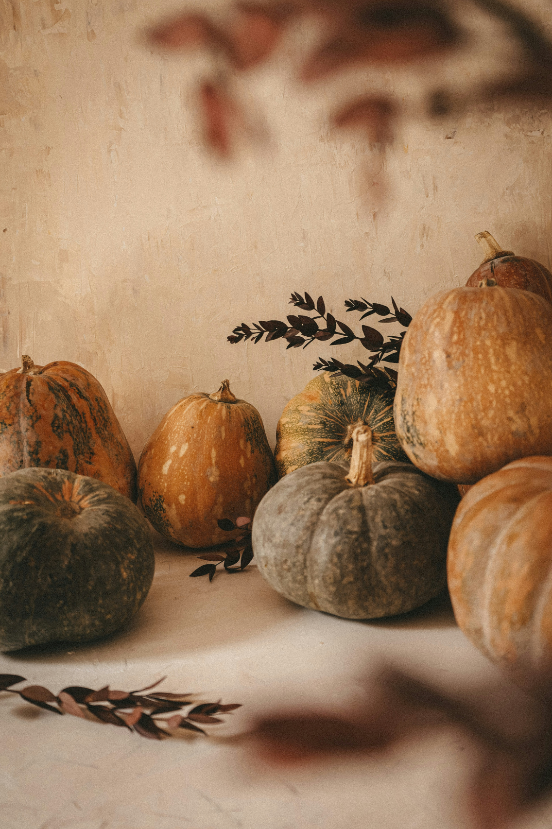Pumpkin Cr¨¨me 50 ml Perfume Oil Dropper | Shop Sand + Fog