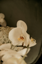 Fleur de Vanille 50 ml Perfume Oil Dropper | Shop Sand + Fog