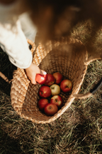 Apple Picking 12 oz scented candle