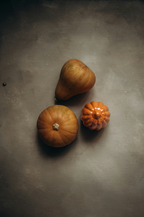 Spiced Pumpkin 12 oz scented candle | Shop Sand + Fog
