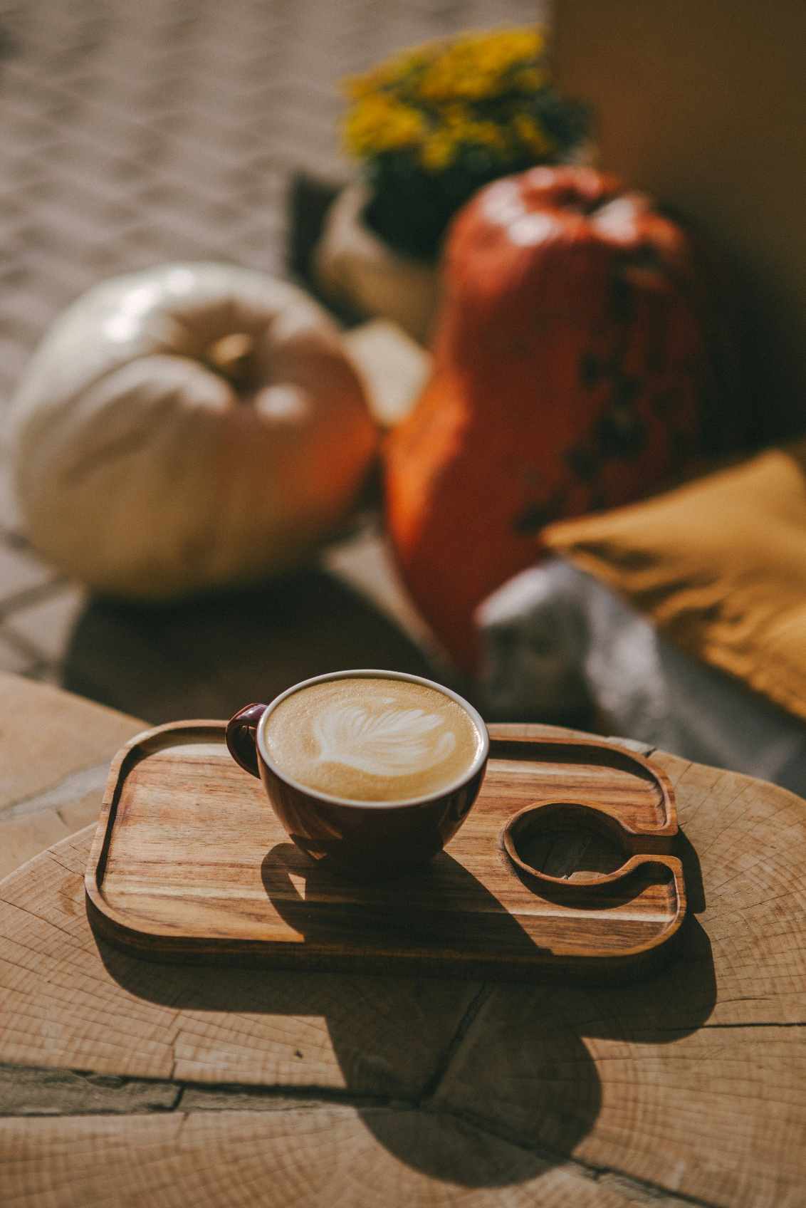 Sand + Paws Pumpkin Soy Latte 12 oz scented candle | Shop Sand + Paws