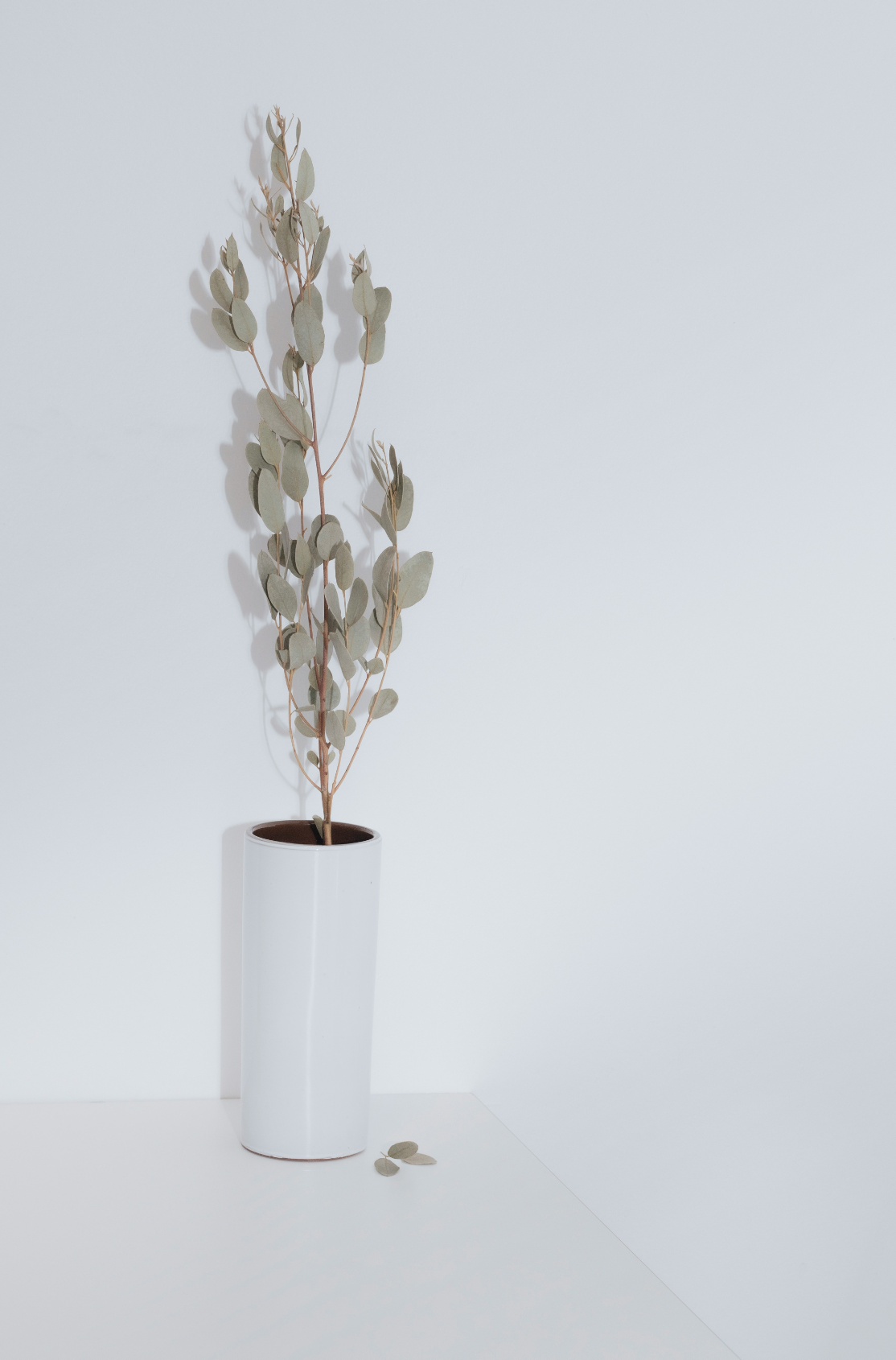 Eucalyptus Spearmint 100 ml Reed Diffuser | Shop Sand + Fog
