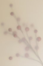 Goji Berry 100 ml Room Spray | Shop Sand + Fog