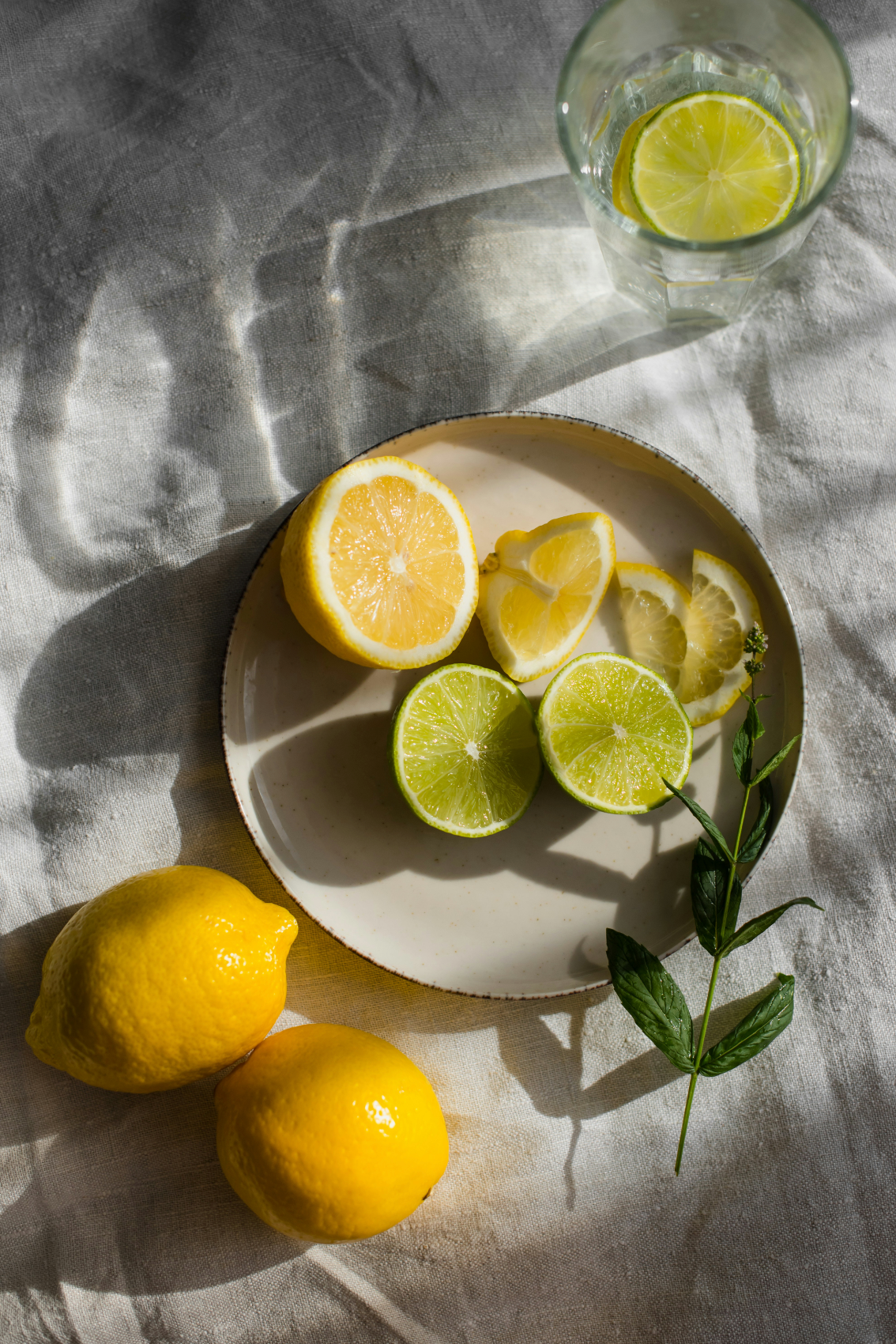 Sand + Paws Limoncello 12 oz scented candle