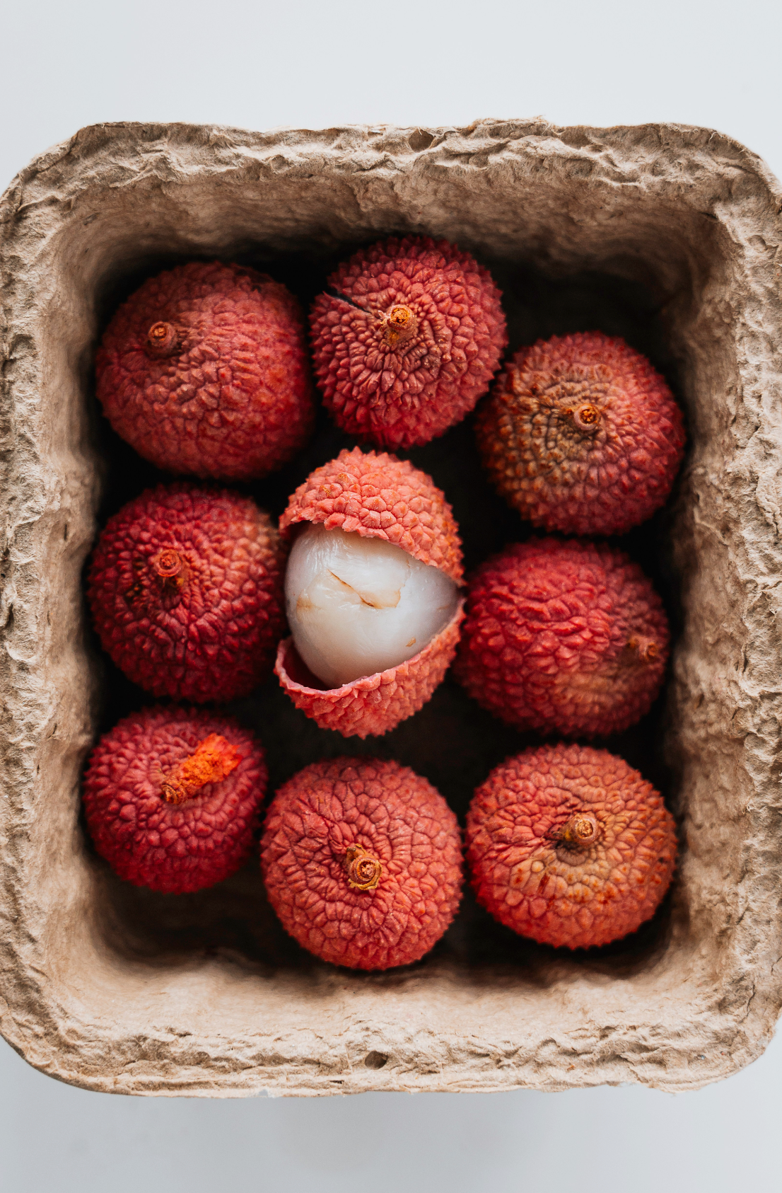 Lychee & Currant 12 oz scented candle | Shop Sand + Fog