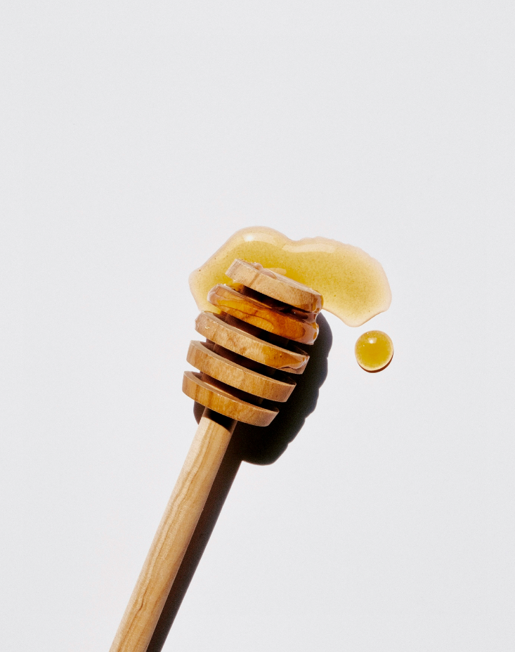 Sweet Honey 10 oz scented candle | Shop Modern Heirloom