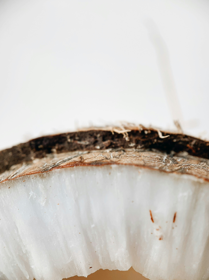 Vanilla Coconut 12 oz scented candle | Shop Sand + Fog