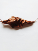 Vanilla Tobacco 100 ml Room Spray | Shop Sand + Fog
