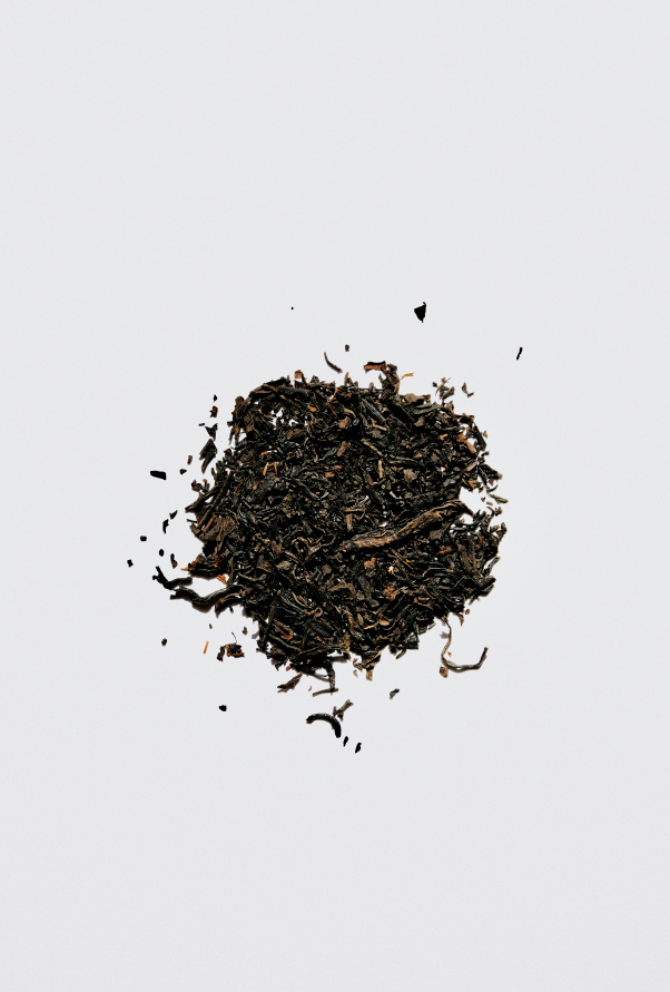 Weathered Tobacco 12 oz scented candle | Shop Sand + Fog