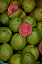 Paradise Guava 12 oz scented candle | Shop Sand + Fog