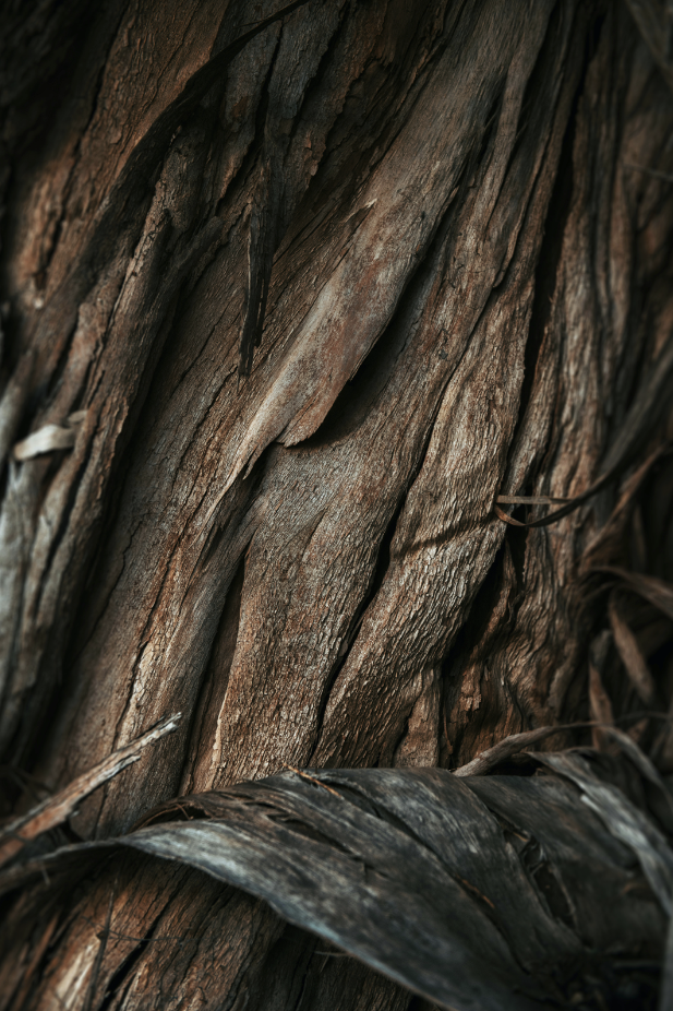 Vanilla Sandalwood 32 oz 2-In-1