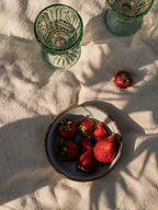 Strawberry Mimosa 21 oz scented candle | Shop Sand + Fog