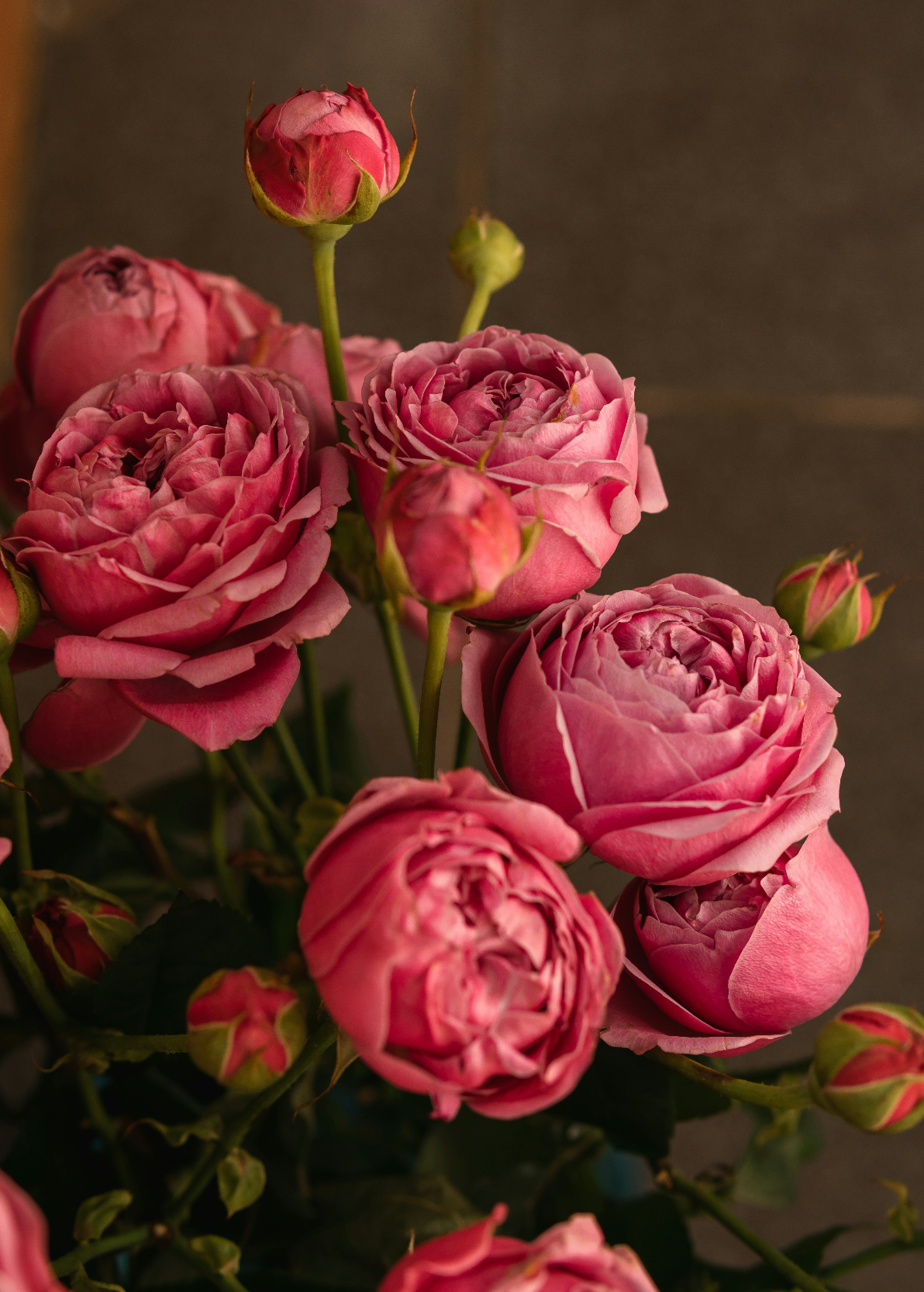 Rose & Peony 50 ml Perfume Oil Dropper | Shop Sand + Fog