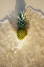 Pineapple Sugar 50 ml Perfume Oil Dropper | Shop Sand + Fog