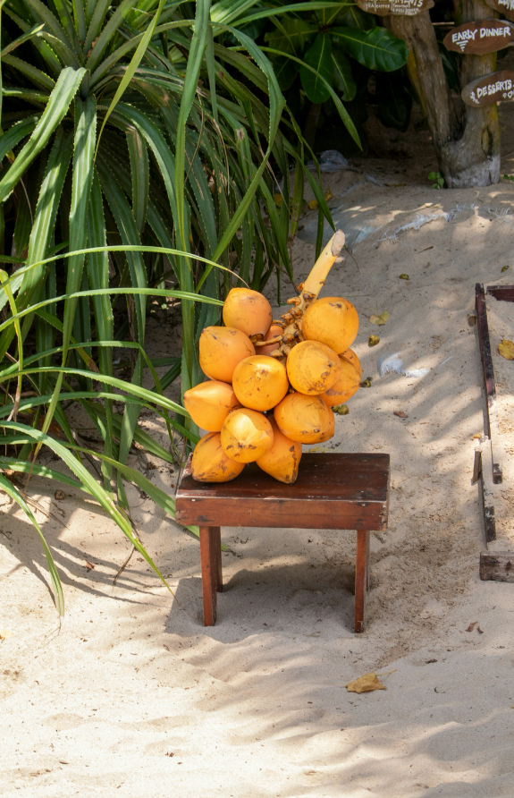Coconut Blossom 50 ml Perfume Oil Dropper | Shop Sand + Fog