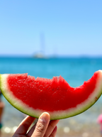 Watermelon Breeze 10 oz scented candle | Shop Sand + Fog