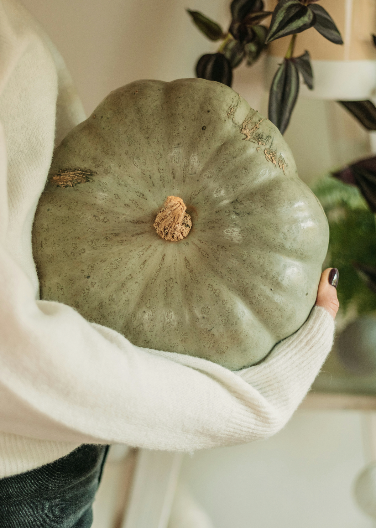 Sage Pumpkin 8.45 oz Liquid Hand Soap | Shop Sand + Fog