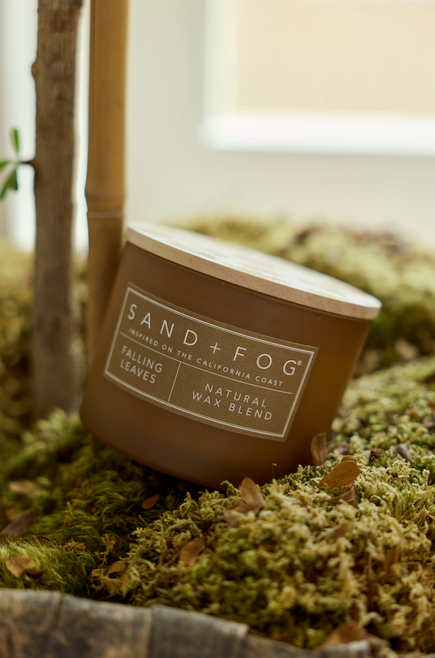 Falling Leaves 12 oz scented candle | Shop Sand + Fog