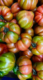 Sicilian Tomato 12 oz scented candle | Shop Sand + Fog