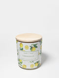 Limoncello 10 oz scented candle | Shop Sand + Fog