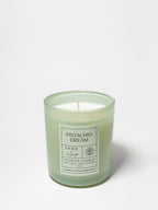 Pistachio Dream 10 oz scented candle | Shop Sand + Fog