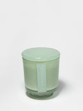Seaside Dreams 8 oz scented candle | Shop Sand + Fog
