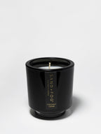 Coconut Creme 8 oz scented candle | Shop Sand + Fog