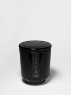 Coconut Creme 8 oz scented candle | Shop Sand + Fog