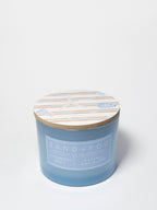 Strawberry Spritz 12 oz scented candle | Shop Sand + Fog
