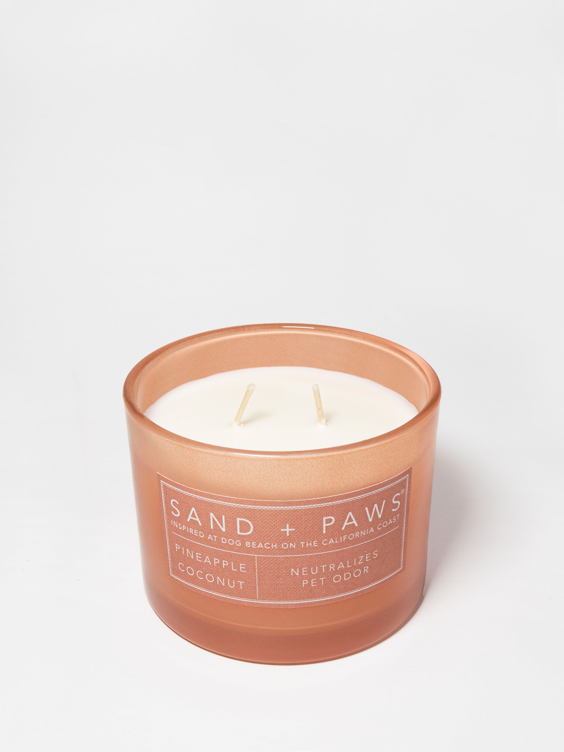Sand + Paws Pineapple Coconut 12 oz scented candle | Shop Sand + Paws