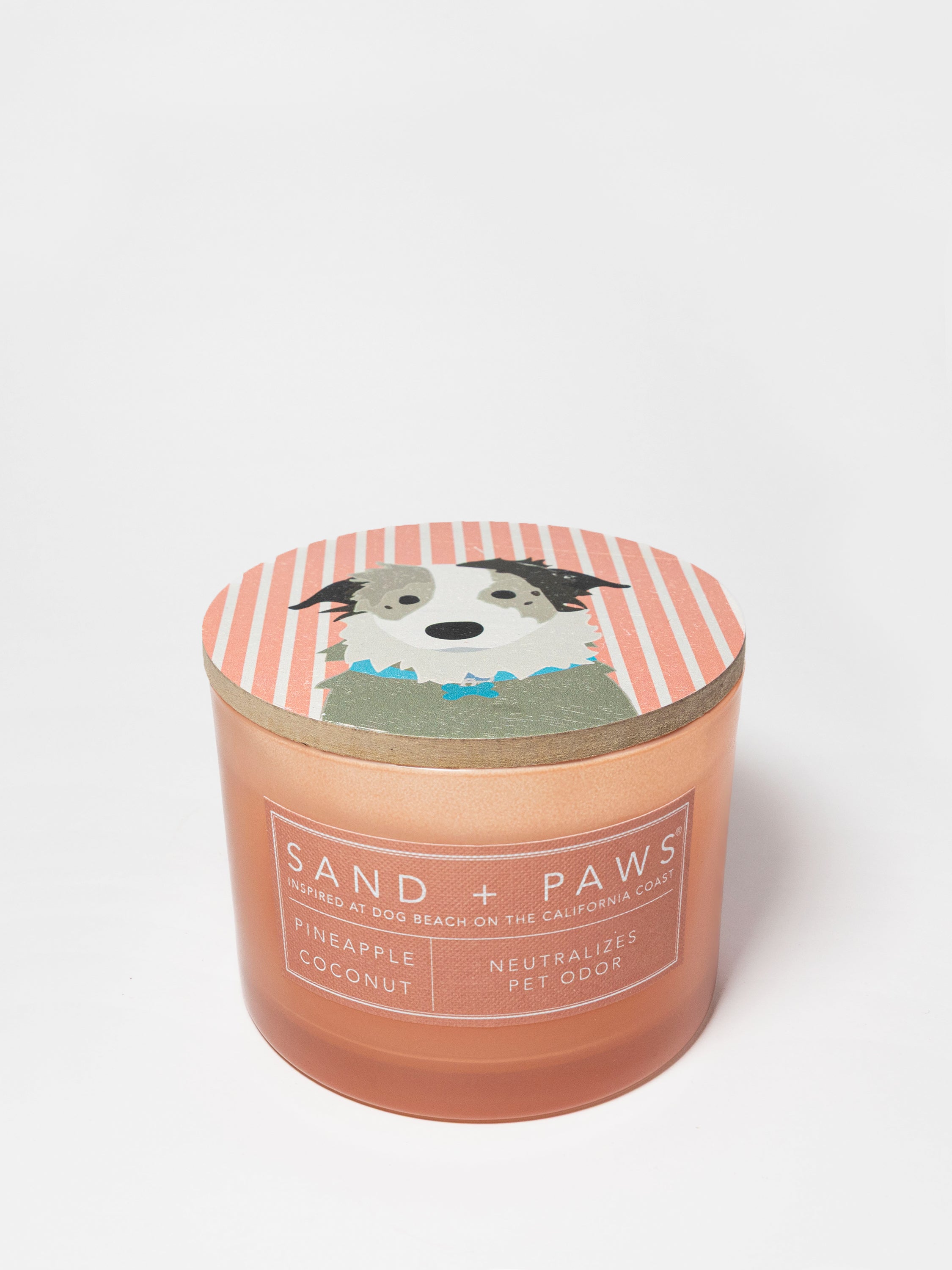 Sand + Paws Pineapple Coconut 12 oz scented candle | Shop Sand + Paws