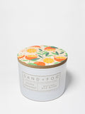 Golden Grapefruit 12 oz scented candle | Shop Sand + Fog