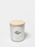 Ocean & Sea Salt 10 oz scented candle | Shop Sand + Fog