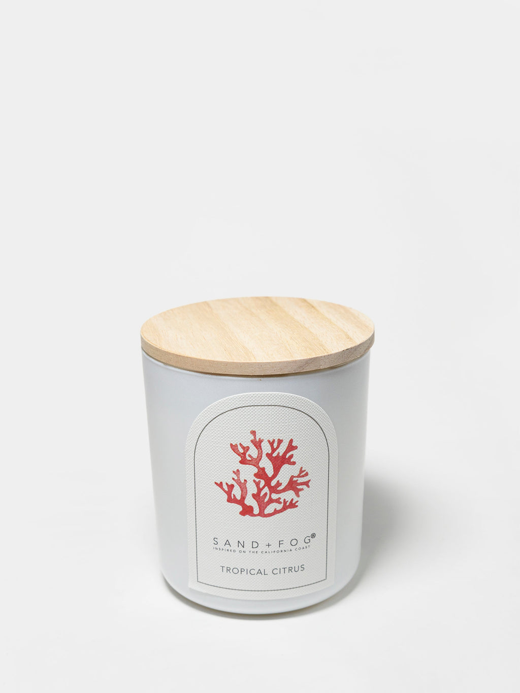 Tropical Citrus 10 oz scented candle | Shop Sand + Fog