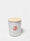 Tropical Citrus 10 oz scented candle | Shop Sand + Fog
