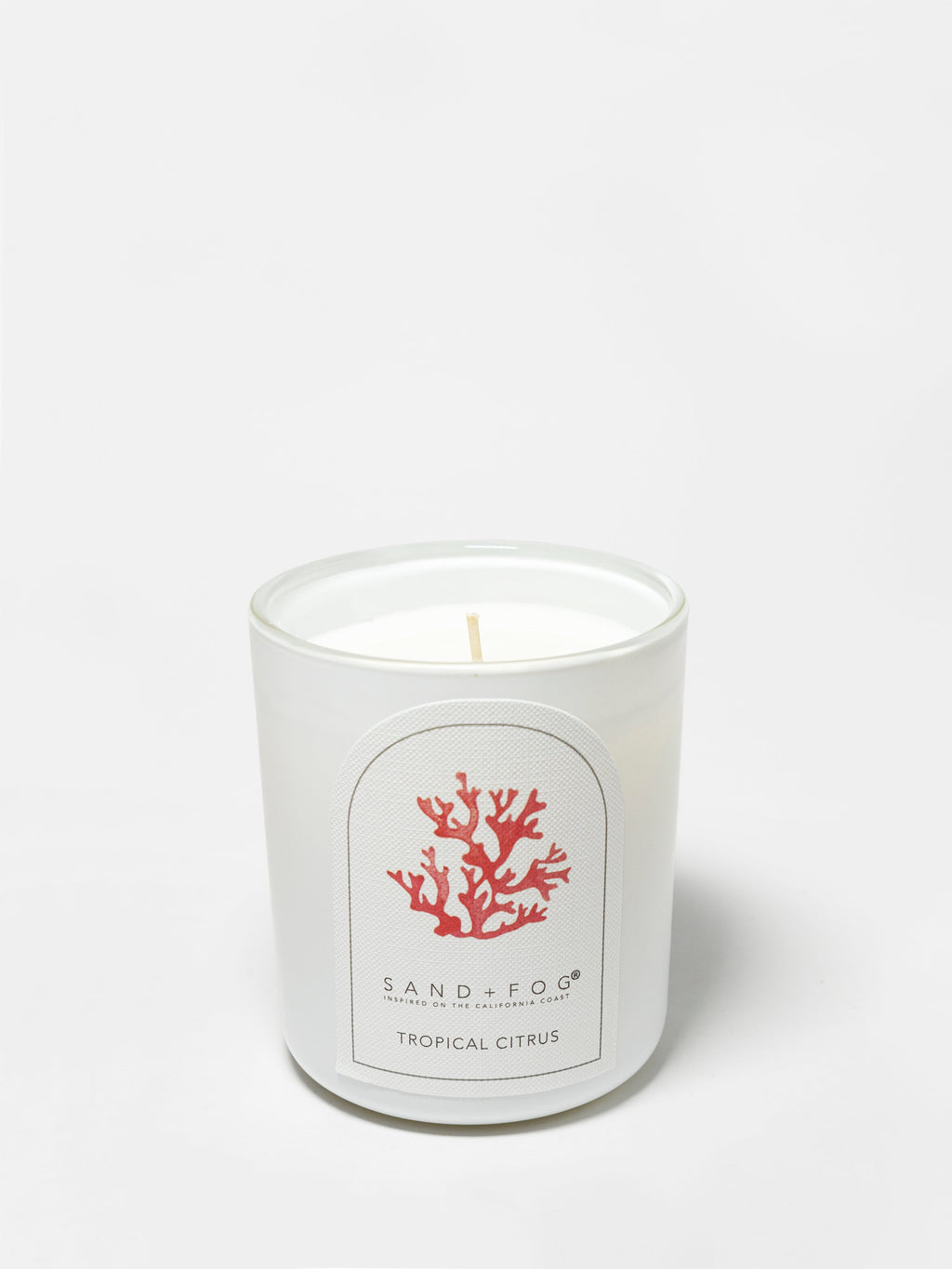 Tropical Citrus 10 oz scented candle | Shop Sand + Fog