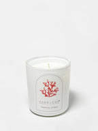Tropical Citrus 10 oz scented candle | Shop Sand + Fog