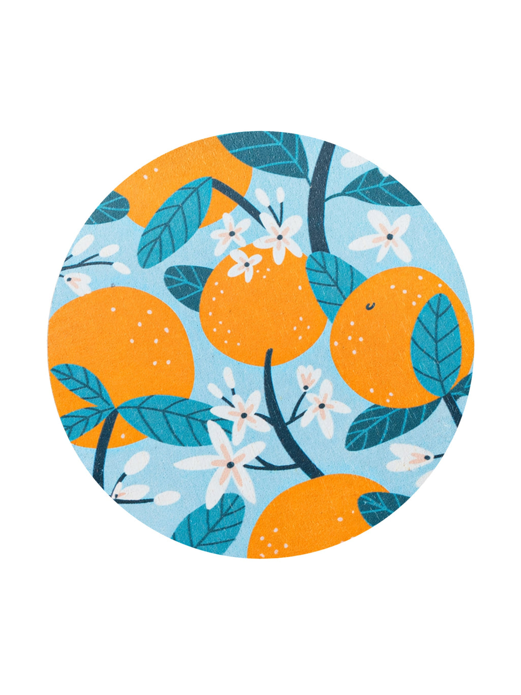 Orange Vanilla 12 oz scented candle | Shop Sand + Fog