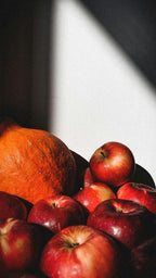 Pumpkin & Apple 12 oz scented candle | Shop Sand + Fog