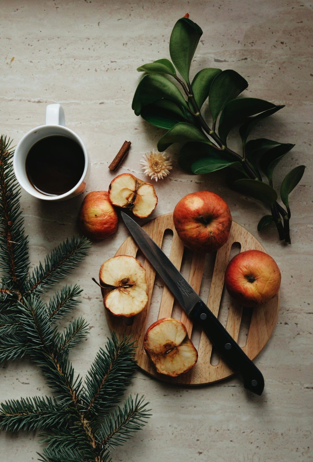 Apple Spice 110 ml Reed Diffuser | Shop Sand + Fog